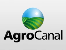 Logo do canal AgroCanal