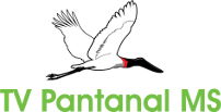Logo do canal TV Pantanal MS